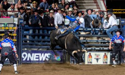 Stetson Wright’s return to action at the National Western Stock Show Rodeo just keeps getting better. He competed in Bracket 2 in the Denver Coliseum and was the first man to ride two bulls and qualify for the Semi-Finals. On Saturday afternoon, Wright, from Beaver, Utah, rode the Cervi Championship Rodeo bull named Peacemaker for 88.5 points, the high-marked ride of the three Semi-Finals performances. NWSS photo by Ric Andersen