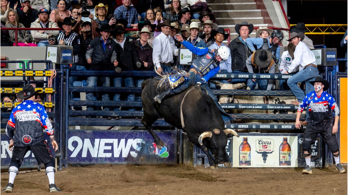 Stetson Wright’s return to action at the National Western Stock Show Rodeo just keeps getting better. He competed in Bracket 2 in the Denver Coliseum and was the first man to ride two bulls and qualify for the Semi-Finals. On Saturday afternoon, Wright, from Beaver, Utah, rode the Cervi Championship Rodeo bull named Peacemaker for 88.5 points, the high-marked ride of the three Semi-Finals performances. NWSS photo by Ric Andersen