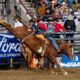 Wacey Schalla is advancing to the Semi-Finals at the National Western Stock Show Rodeo in two events after his success in Bracket 7. The Arapaho, Oklahoma resident finished at the top of the leaderboard in bareback riding with an 82-point ride on Legend Rodeo Stock’s Illegal Smile on Thursday night. He has a total of 161.5 points in that event and was the only man in the bracket to last eight seconds in both rounds in the bull riding. NWSS photo by Ric Andersen