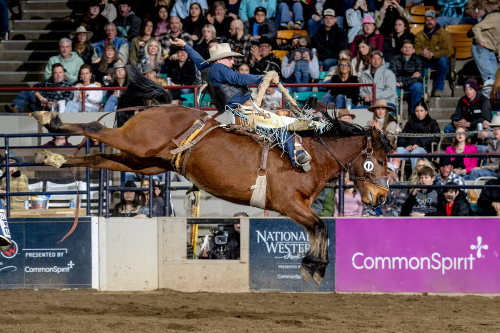 Saddle bronc rider Zac Dallas from Las Cruces, New Mexico, is on a mission at the National Western Stock Show Rodeo. He qualified for his first Wrangler National Finals Rodeo last December and wants to be back there again in 2025. He advanced to Saturday night’s Semi-Finals performance in the Denver Coliseum where he emerged as the winner with an 85.5-point score on Cervi Championship Rodeo’s horse named Tank. NWSS photo by Ric Andersen.
