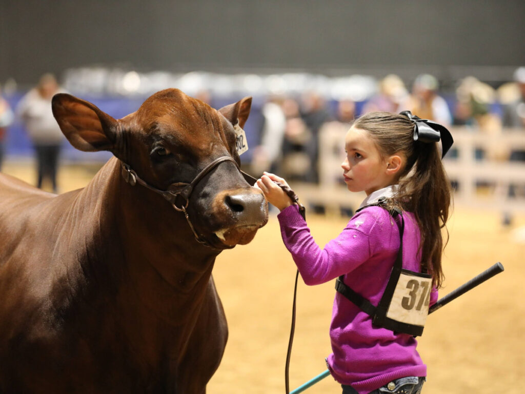 Photo Courtesy of Dixie National Livestock Show & Rodeo