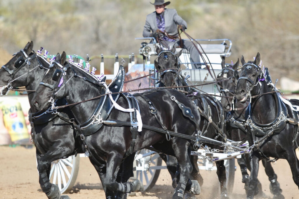 Credit: Gold Rush Days & Senior Pro Rodeo