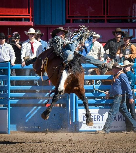 Bareback Tucson Rodeo 2025. Photo by Gabe Lopez.