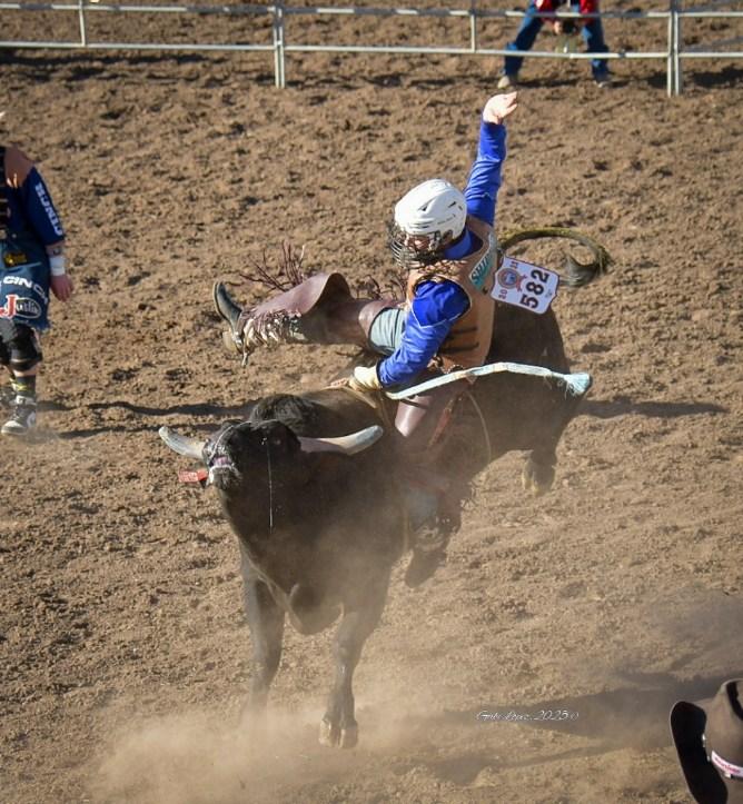 Bull riding Tucson Rodeo 2025. Photo by Gabe Lopez.