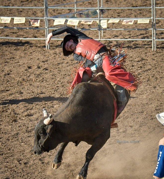 Bull riding Tucson Rodeo 2025. Photo by Gabe Lopez.