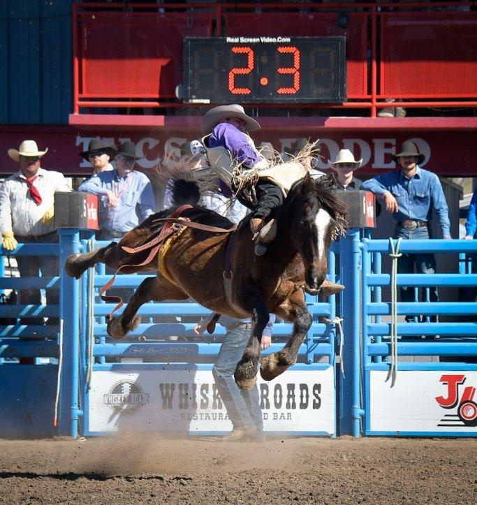 Bareback Tucson Rodeo 2025. Photo by Gabe Lopez.