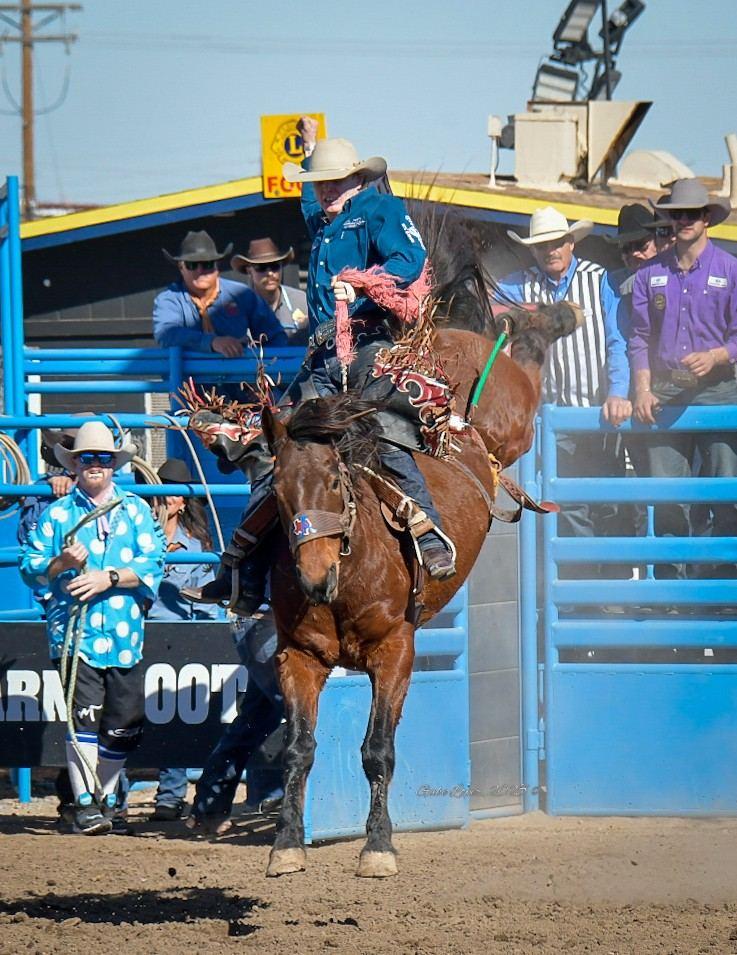 Bareback Tucson Rodeo 2025. Photo by Gabe Lopez.