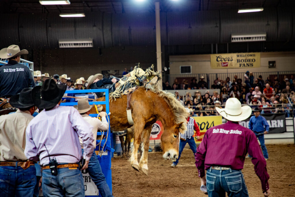 bronc rider