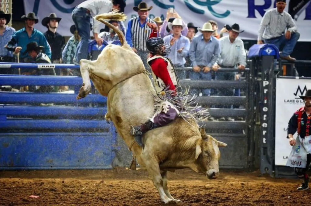 Credit: Silver Spurs Rodeo