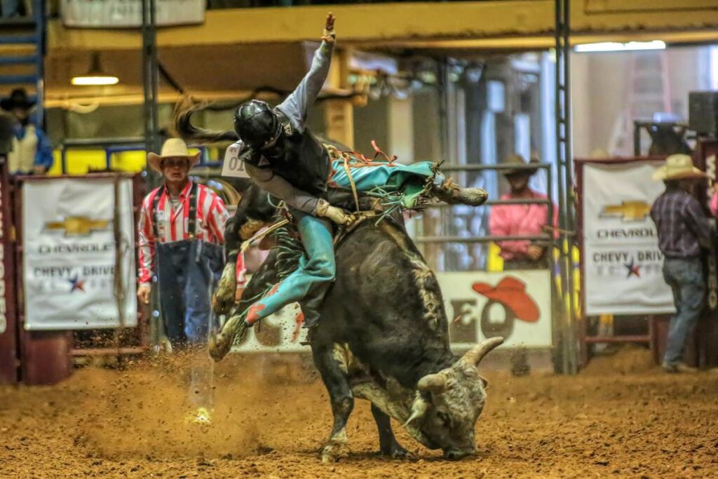 Bull rider ABC Rodeo by Paul Roberts