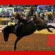 Bronc rider ABC Rodeo