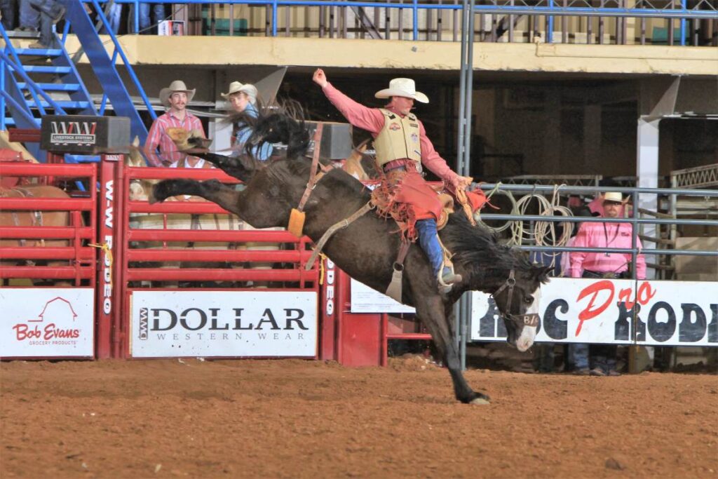 Saddle bronc rider photo courtesy ABC rodeo Lonestar 99.5