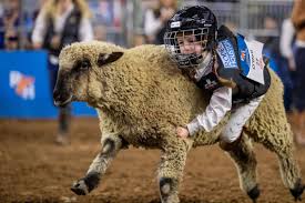 mutton bustin facebook