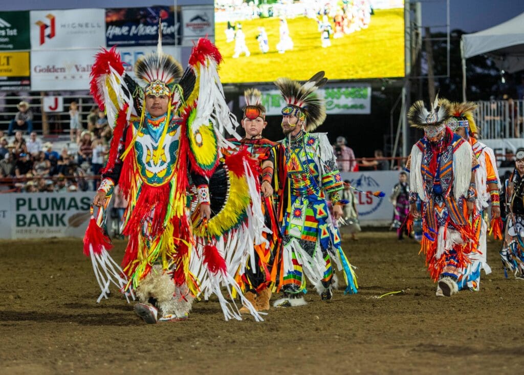 Native American Traditional Dancers