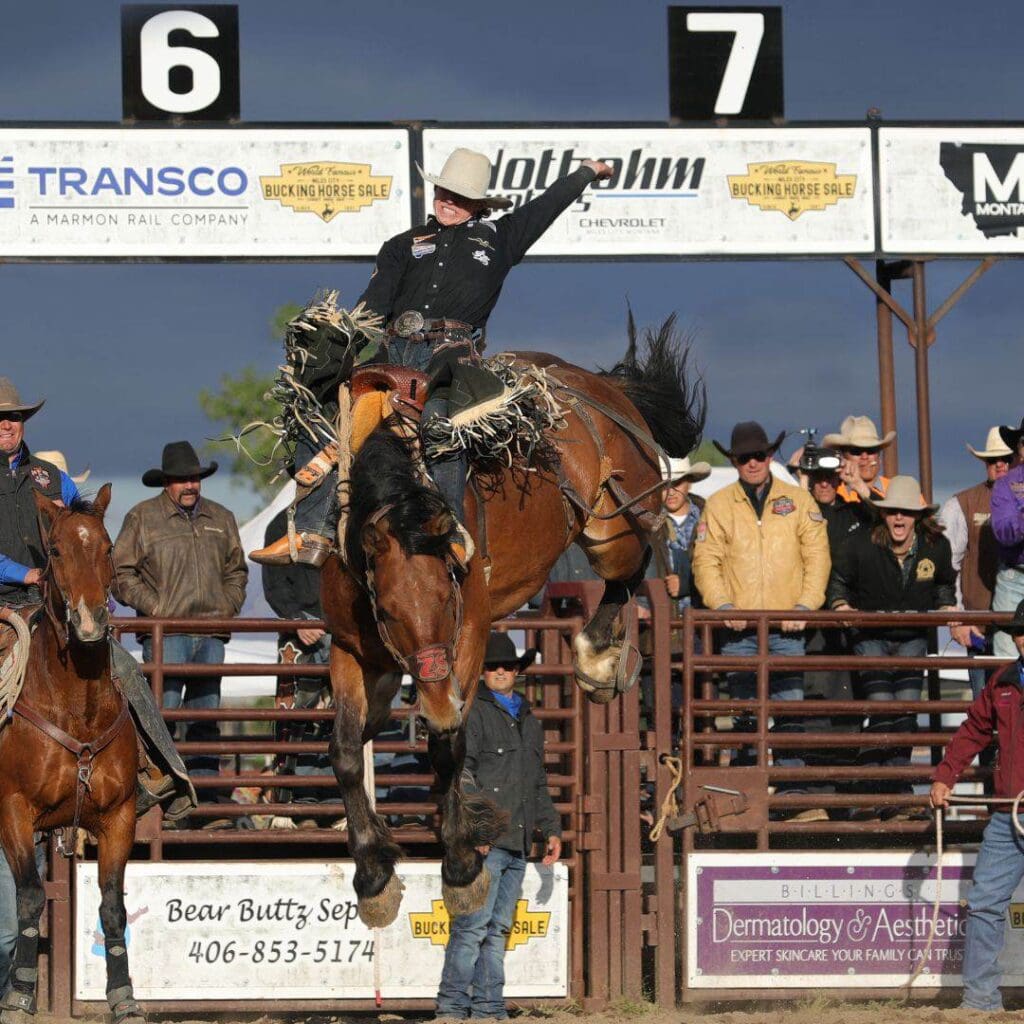 Dawson-Hay-2024-Champion Miles City Bucking Horse Sale