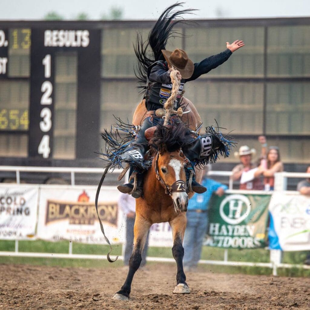 Zeke-Thurston-2023-Champion Miles City Bucking Horse Sale