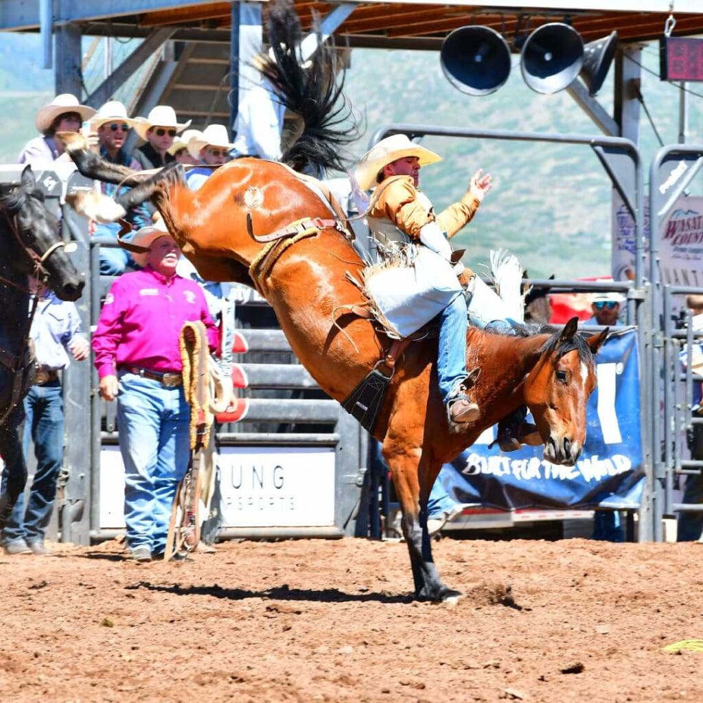 Saddle bronc rider. Photo credit UHSRA
