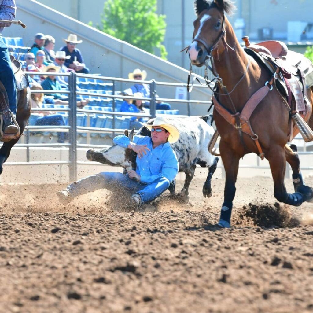 Steer Wrestler photo credit UHSRA