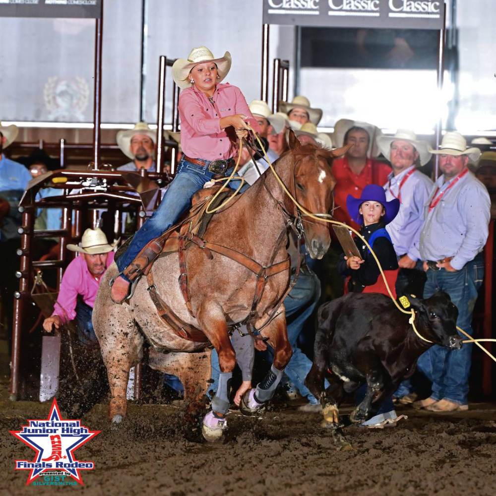 NJHFR Break away roper