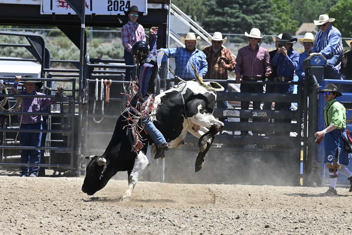 Dust, Determination, and Dreams: The Thrill of Idaho Junior and High ...