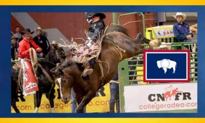 Saddle bronc. CNFR Photo credit: Jackie Jensen photography