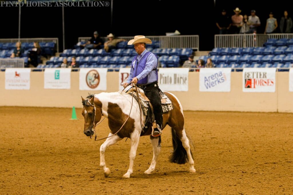 Pinto horse and competitor at 2024 PWC