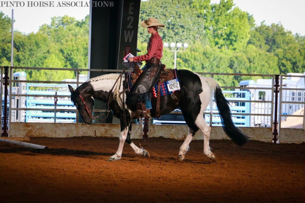 Pinto horse and competitor at 2024 PWC