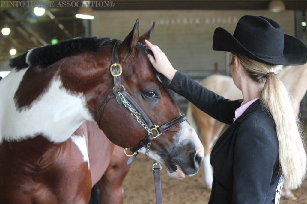 Pinto horse and competitor at 2024 PWC
