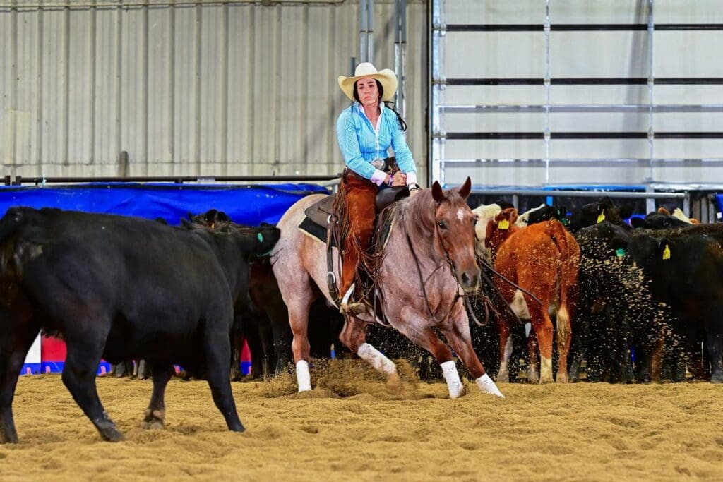 Cowgirl competing in cutting competition