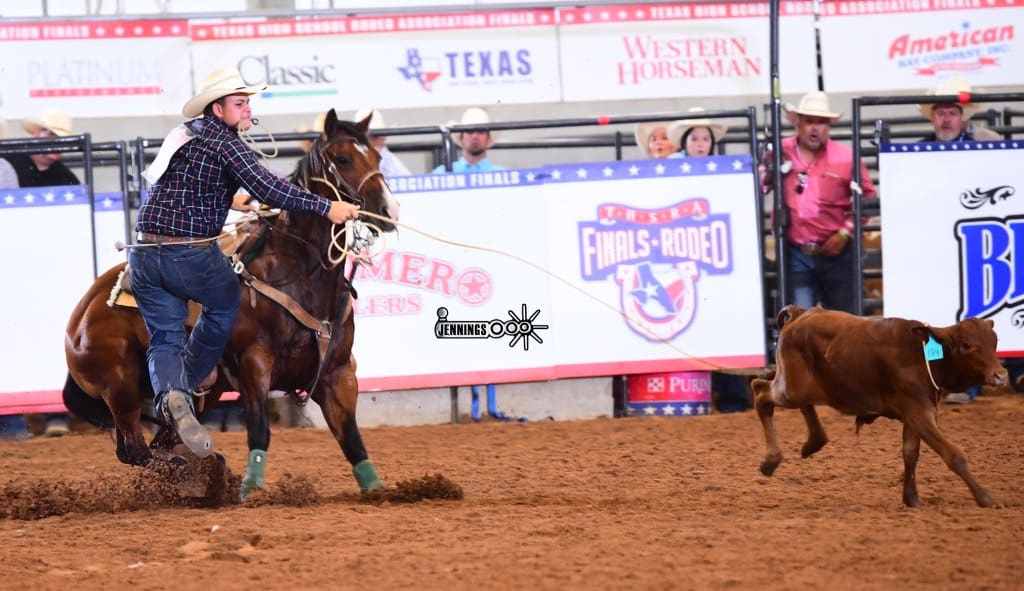 Cowboy roping a calf