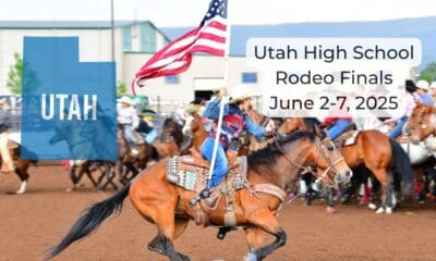 Woman riding a horse with flag held high. UHSRA