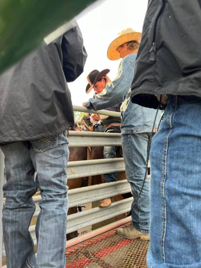 Rider getting ready at Livingston Round Up Rodeo