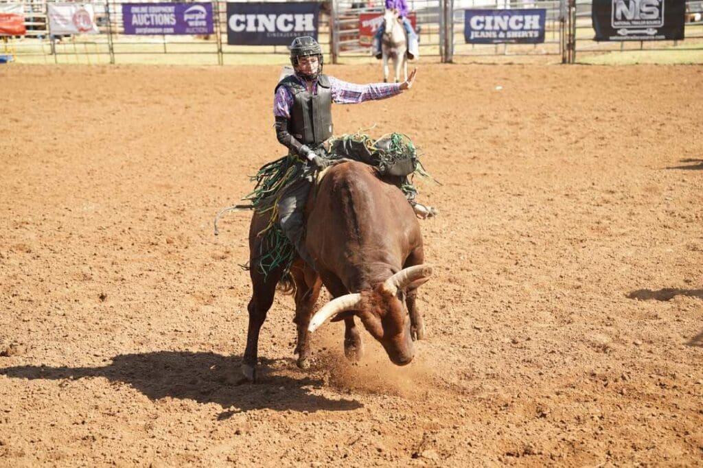 IFYR Bull rider