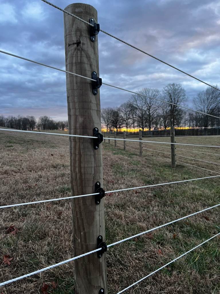Cameo Fencing