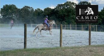 Cameo Fence ™ Solves Costly Horse Fence Myths
