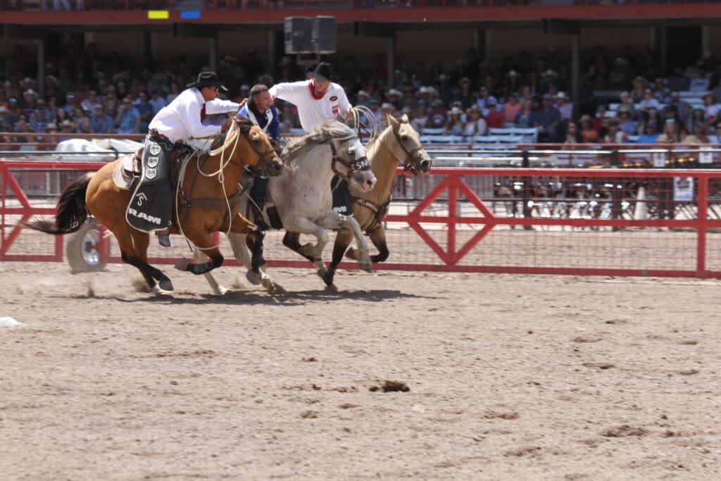 Pickup men assisting rodeo athlete