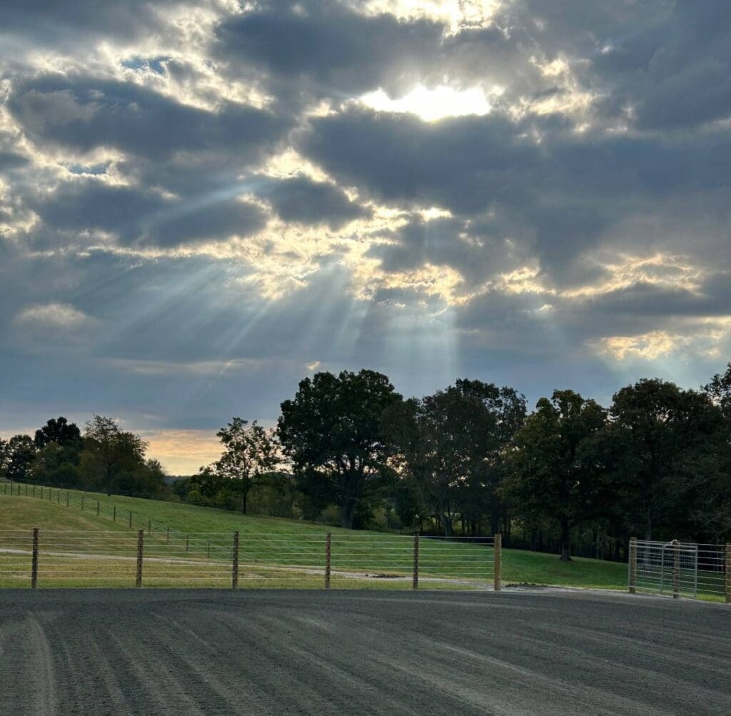 Cameo Fencing w Sun Peaking thru the Clouds