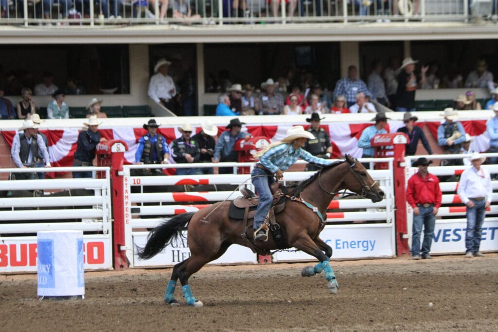 Barrel racer at the Calgary Stampede