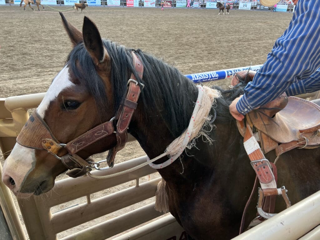 Photo Courtesy: Cowboy Lifestyle Network