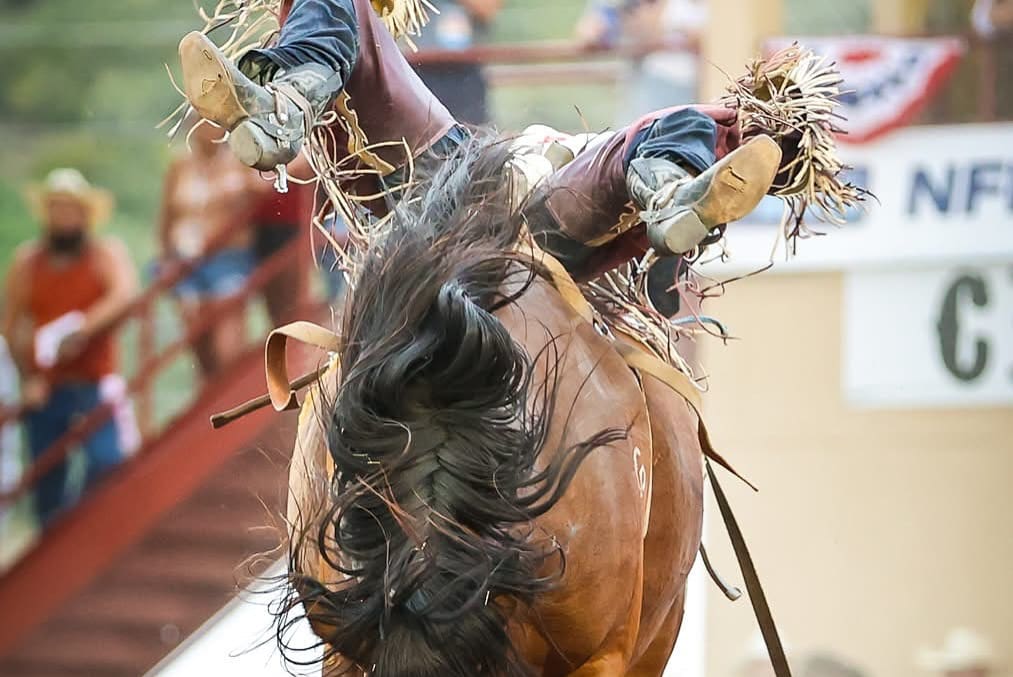 Photo Courtesy of Bqgauck Photography/NFR Open at the Pikes Peak or Bust Rodeo
