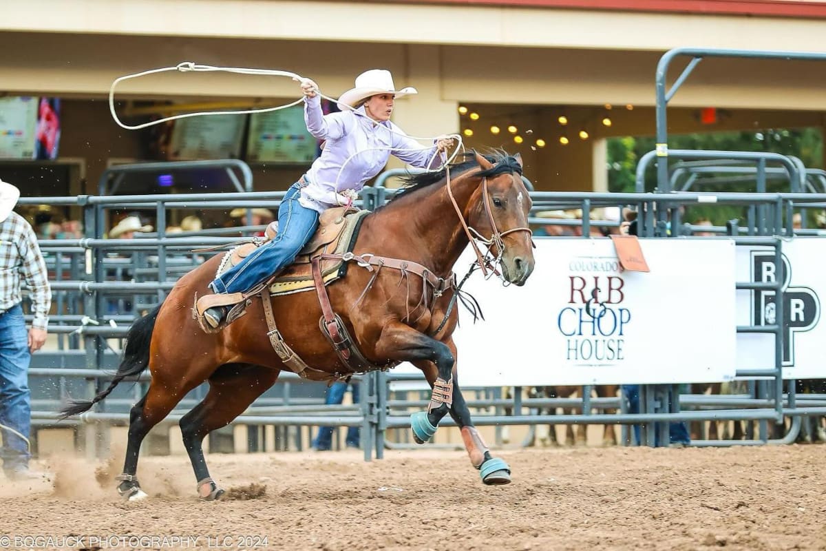 Photo Courtesy of Bqgauck Photography/NFR Open at the Pikes Peak or Bust Rodeo