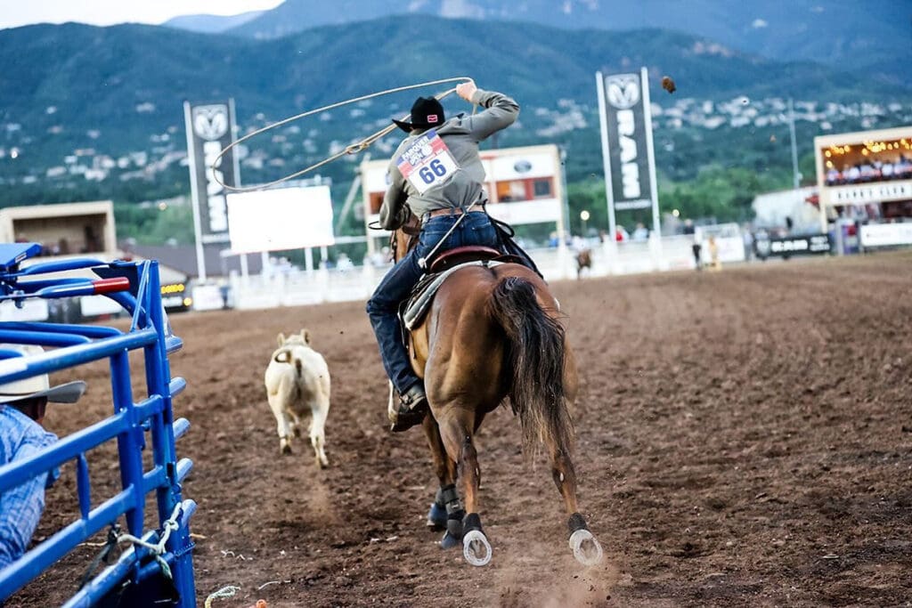 Photo Courtesy of NFR Open at the Pikes Peak or Bust Rodeo