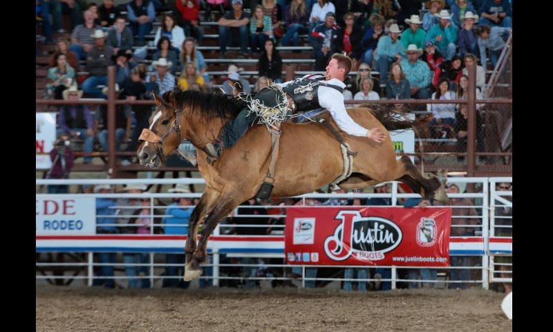 Cody Nite Rodeo bronc riding
