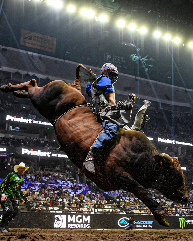 The power of the Beast- Photo Credit: New York Mavericks