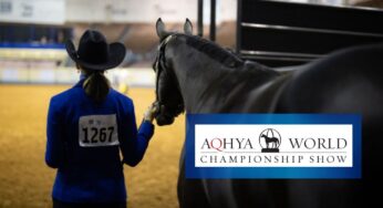 AQHYA World Championship Show 2025