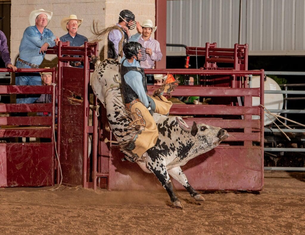 Bull rider in the arena