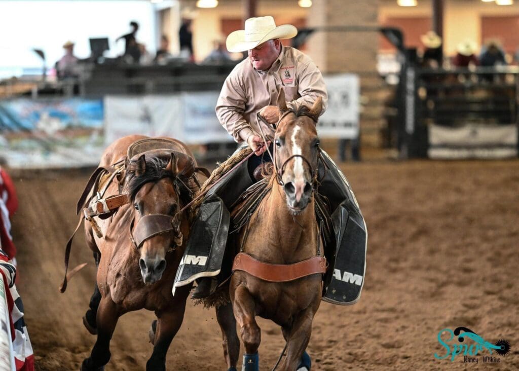 Pickup man getting a bronc in the arena