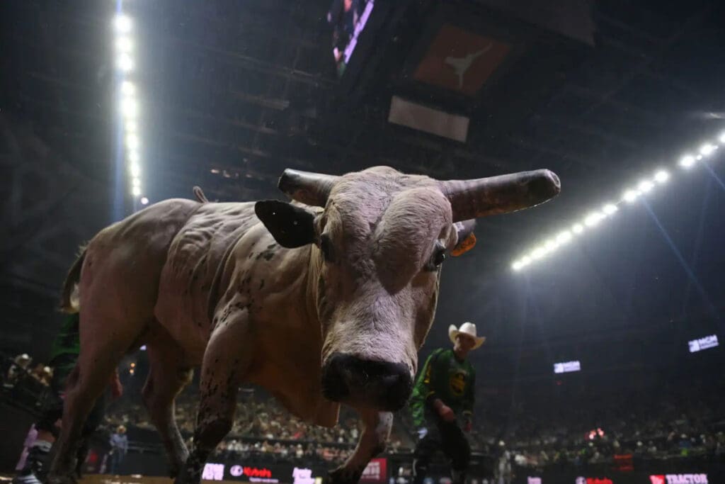 Photo Courtesy of Andy Watson/Bull Stock Media