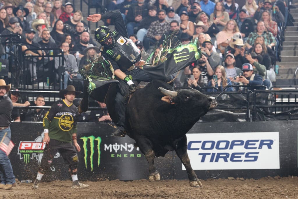 Photo Courtesy of Andy Watson/Bull Stock Media