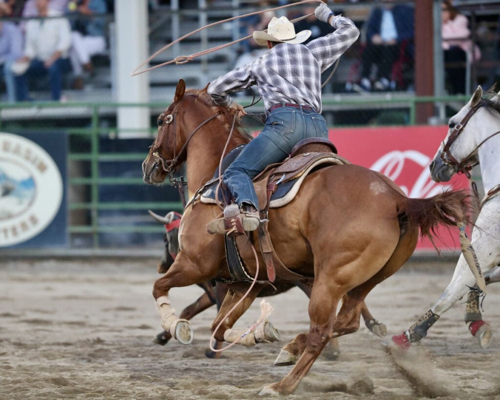 Photo Courtesy of Jackson Hole Rodeo